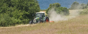 Foto: Peter Sterk